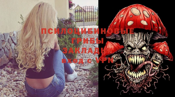 метадон Гусев