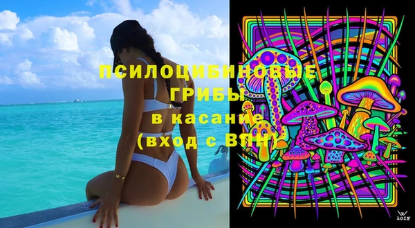 метадон Гусев