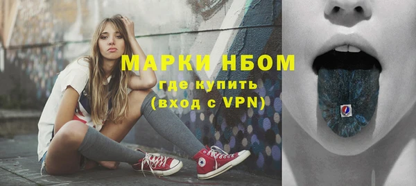 стаф Дмитриев